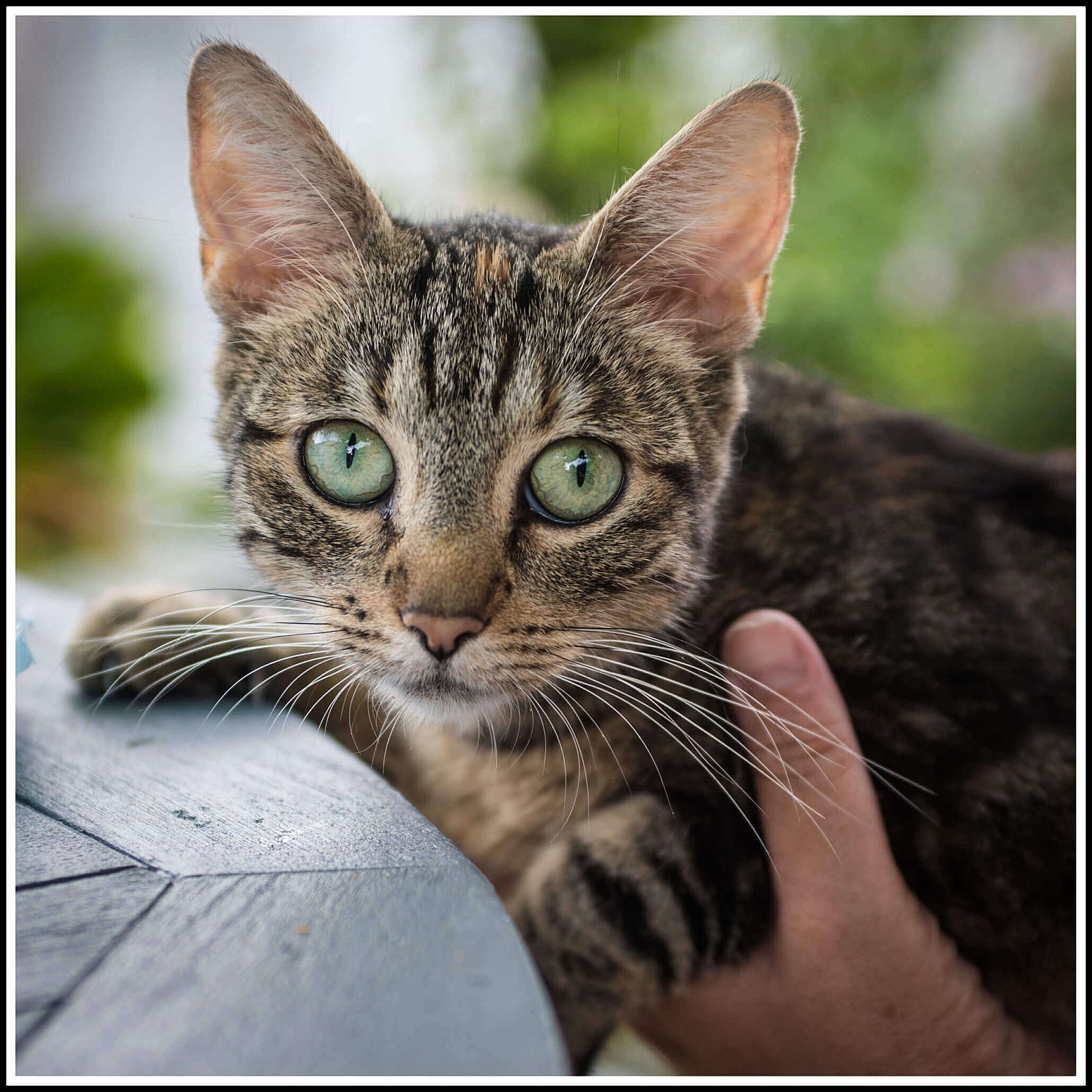 Portfolio - Katten