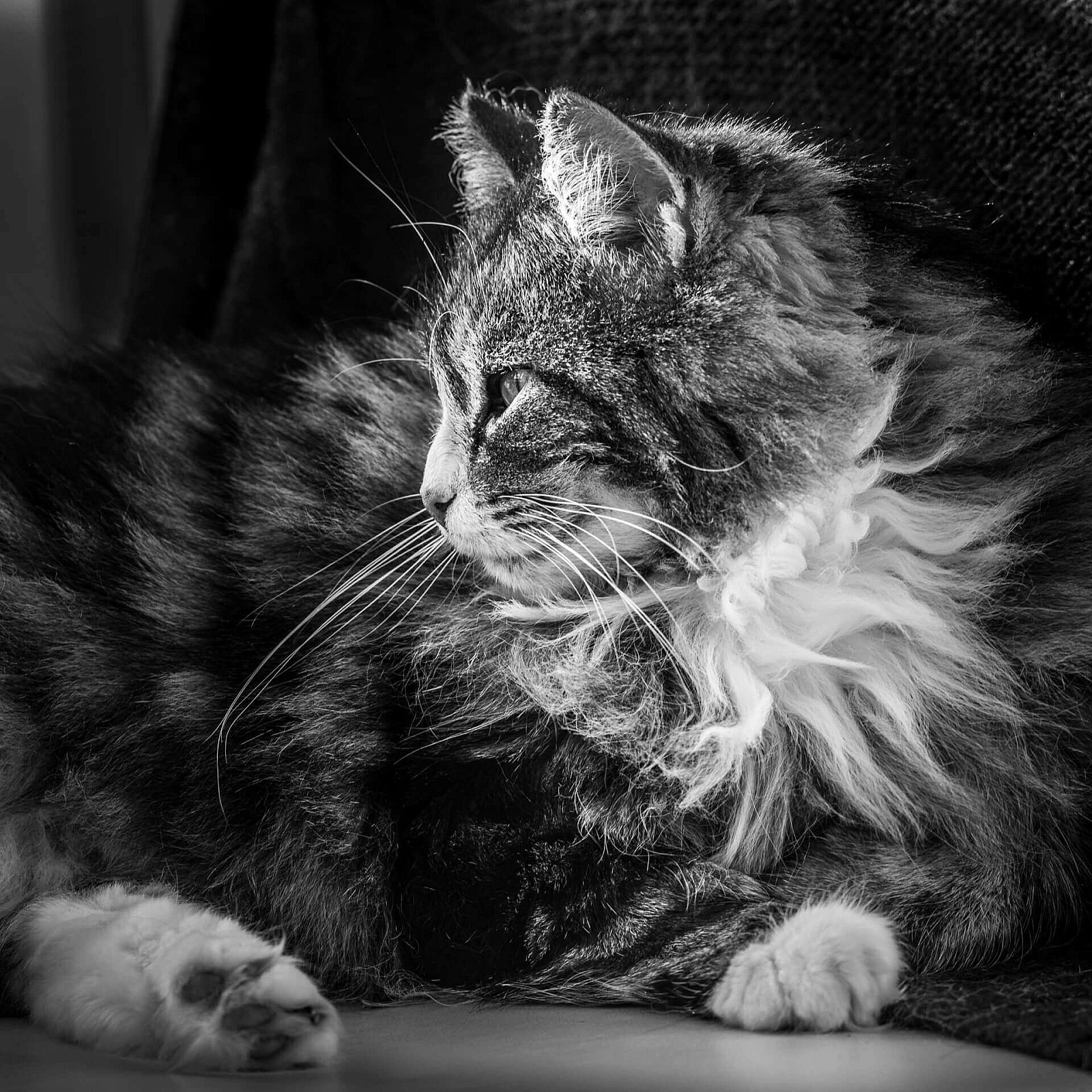 Portfolio - Katten