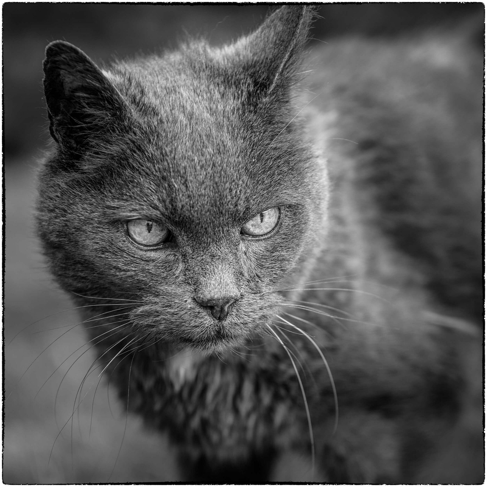 Portfolio - Katten