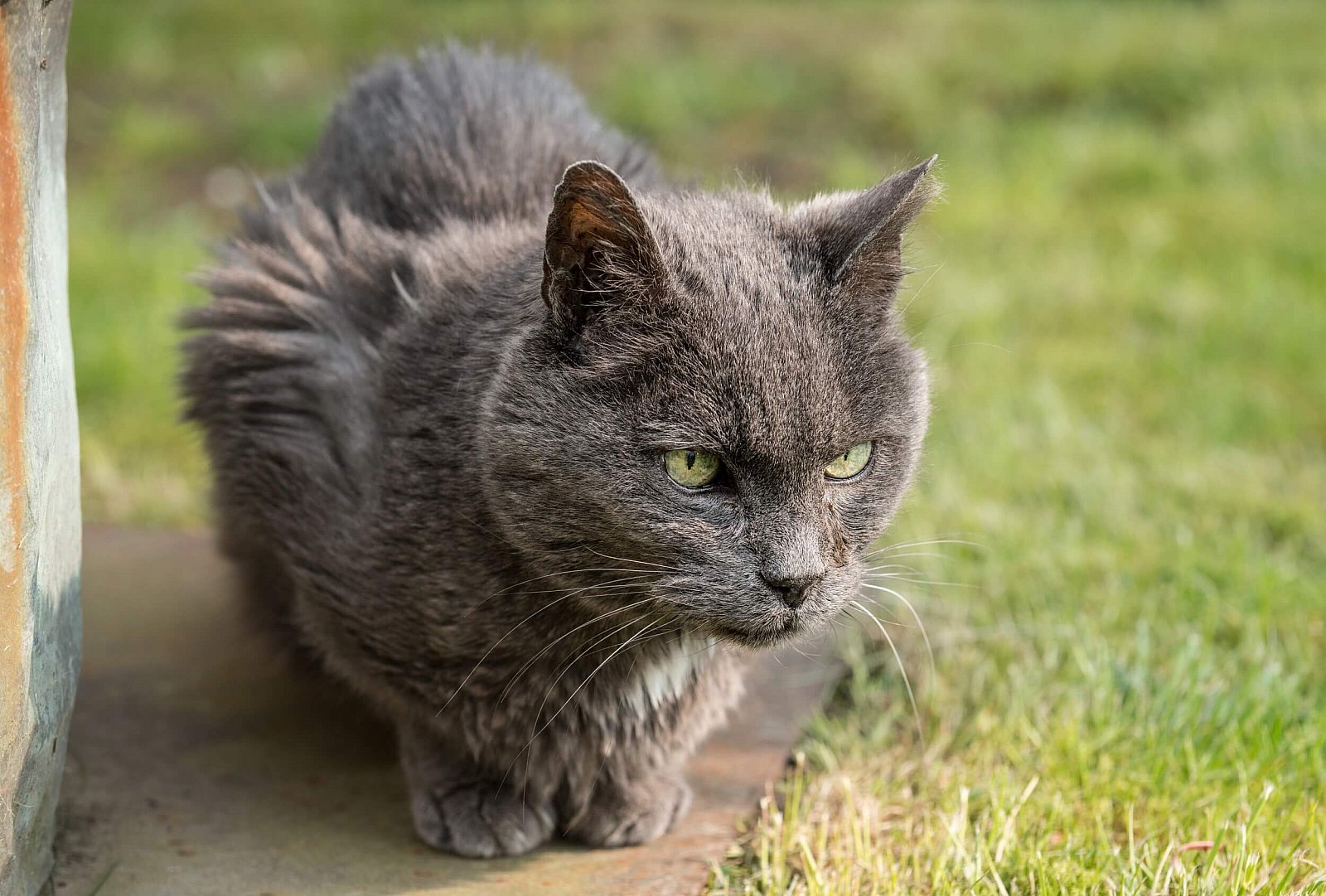 Portfolio - Katten