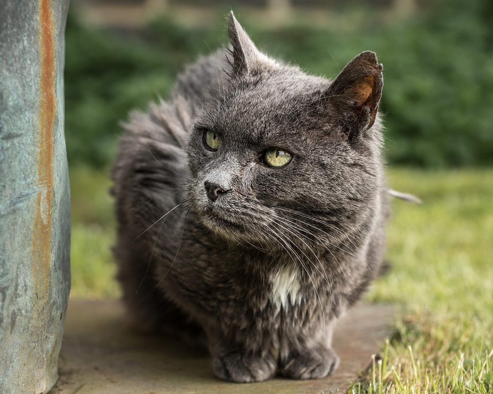 Portfolio - Katten