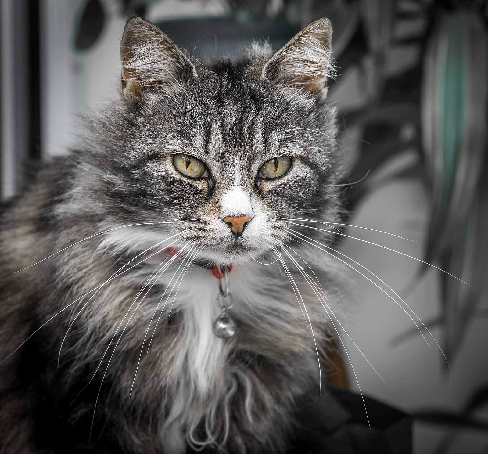 Portfolio - Katten
