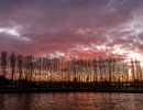 2020 03 29 sunset 169