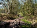 2020 04 11 voetweg63 nrwandeling 048 189