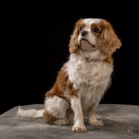 012 odie en nelson 20220326 1