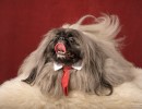 013 sunny illada 20220129 1