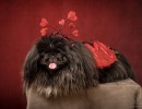 057 sunny illada 20220129 1