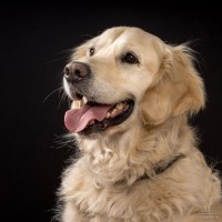 063 odie en nelson 20220326 1