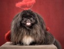 087 sunny illada 20220129 1