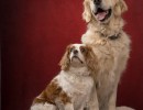 100 odie en nelson 20220326 1