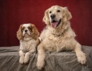 144 odie en nelson 20220326 1