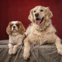 144 odie en nelson 20220326 1