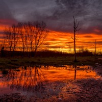 20211231 oostvaartdijk 003