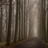20220113 ochtendmist 01