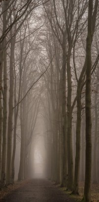 20220113 ochtendmist 02