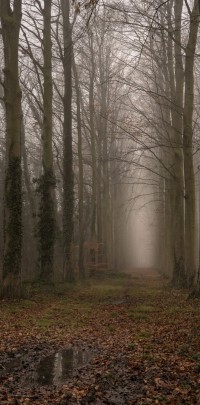 20220113 ochtendmist 03