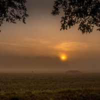 2020 08 16 jaagpad zn07 259
