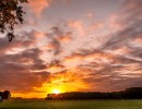 2020 09 10 zonsopgang 271