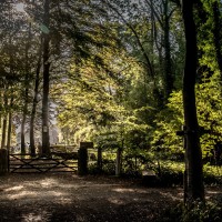 2020 09 21 voetweg63 07 279