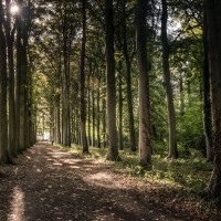 2020 09 21 voetweg63 10 282