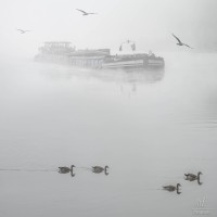 2020 09 22 mist op kanaal 284
