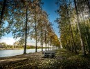 2020 10 21 dsc 0270 291