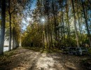 2020 10 21 dsc 0271 292