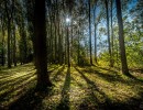 2020 10 21 dsc 0276 293