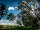 2020 10 21 dsc 0292 295