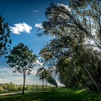 2020 10 21 dsc 0292 295