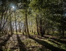 2020 10 21 dsc 0305 298