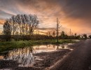2020 10 29 dsc 0375 psbewerkt 300