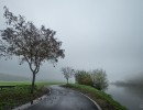 2020 11 11 dsc 0478 303