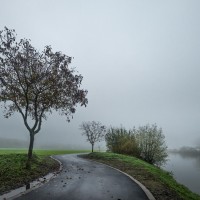 2020 11 11 dsc 0478 303
