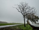 2020 11 11 dsc 0483 304