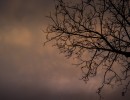 2020 11 11 dsc 0500 305