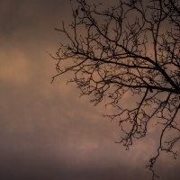 2020 11 11 dsc 0500 305