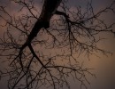2020 11 11 dsc 0501 306