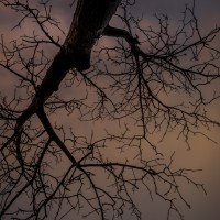2020 11 11 dsc 0501 306