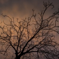 2020 11 11 dsc 0502 307