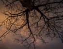 2020 11 11 dsc 0503 308