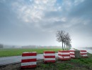 2020 11 11 dsc 0505 309