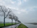 2020 11 11 dsc 0507 310