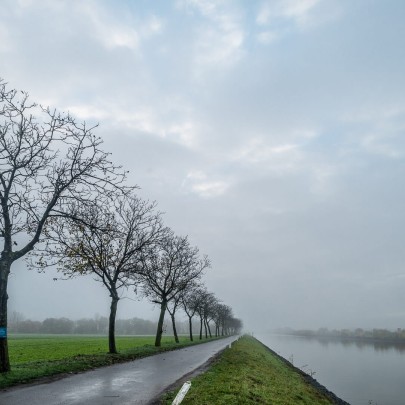 2020 11 11 dsc 0507 310