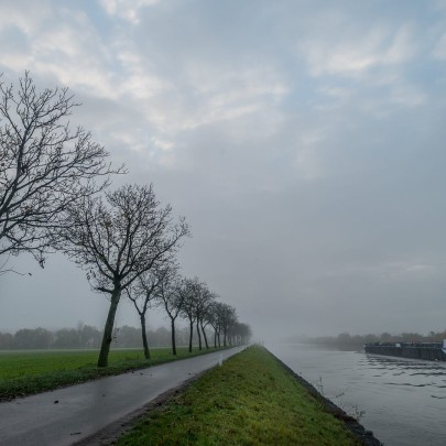 2020 11 11 dsc 0509 311