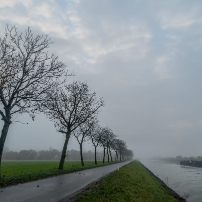 2020 11 11 dsc 0510 312