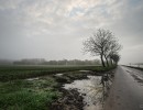 2020 11 11 dsc 0517 313