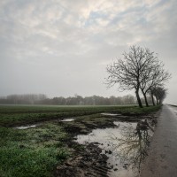 2020 11 11 dsc 0517 313