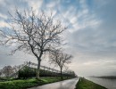 2020 11 11 dsc 0523 314