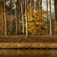 2020 11 23 dsc 1071 315